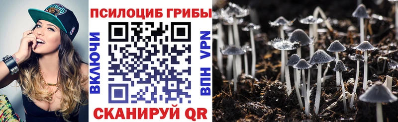 Псилоцибиновые грибы Magic Shrooms  купить наркоту  Заинск 
